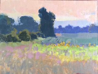 Door County Plein Air Painting of Morning Sun on Summer Field with Sunflowers